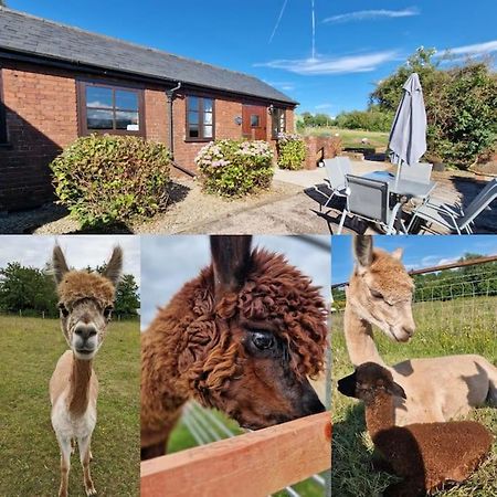 Swallows Nest Guest House - With Hot Tub Abergavenny Exteriör bild